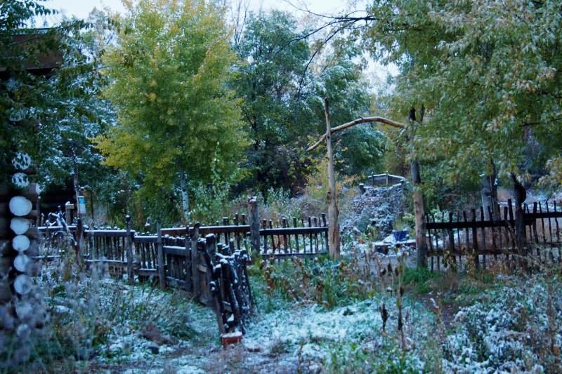 Taos Goji Farm & Eco-Lodge Retreat 아로요 세코 외부 사진