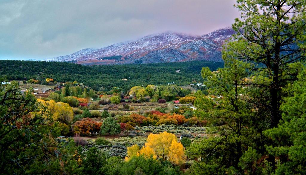 Taos Goji Farm & Eco-Lodge Retreat 아로요 세코 외부 사진