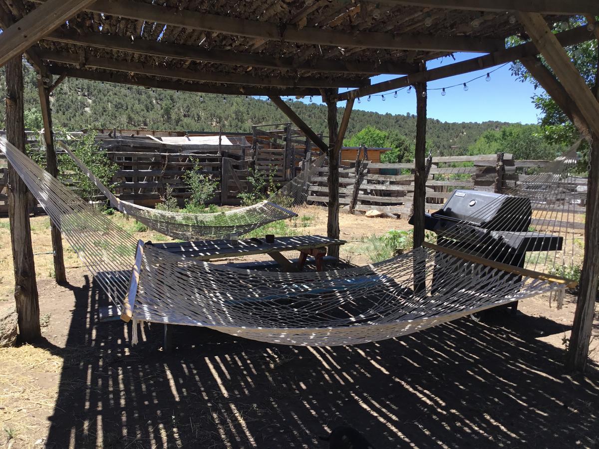 Taos Goji Farm & Eco-Lodge Retreat 아로요 세코 외부 사진